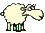 :pecorella: